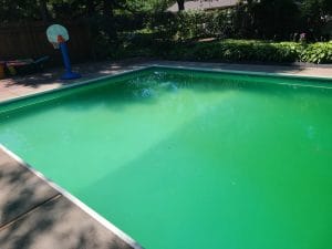 Read more about the article Tips For A Green Pool